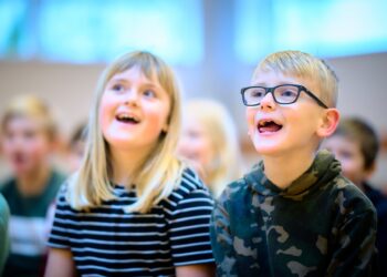Regionsrådet støtter lokale kulturfællesskaber