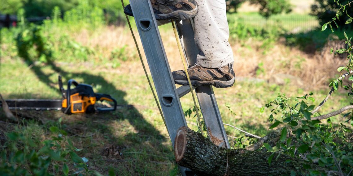Kun en tåbe frygter ikke haven: Pas på forårshavens fælder