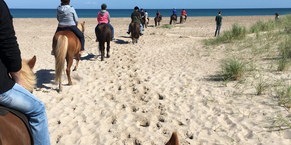 Efterårsfestival i Slettestrand Thorupstrand – stort efterårsprogram
