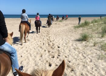 Efterårsfestival i Slettestrand Thorupstrand – stort efterårsprogram