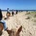 Efterårsfestival i Slettestrand Thorupstrand – stort efterårsprogram