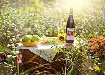 Hold den bedste picnic med alle dem du holder af  