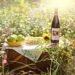 Hold den bedste picnic med alle dem du holder af  