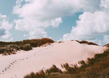 Sådan får I en skøn ferie i en campinghytte