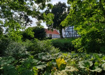 Nyt fra Kommunalbestyrelsen i Jammerbugt Kommune