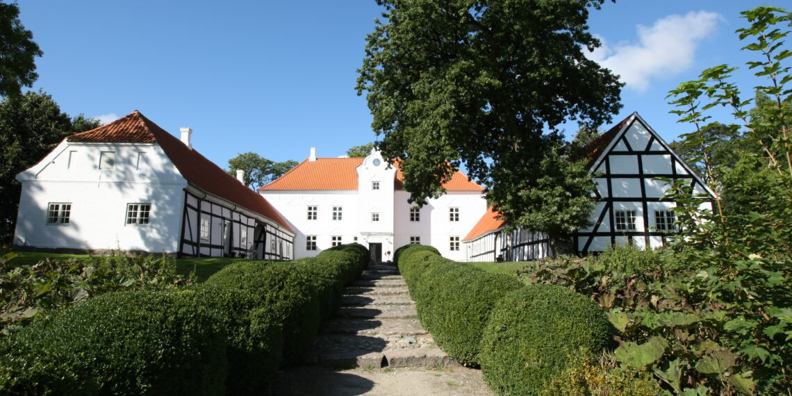 Fem historiske træer i Bratskovs park bliver til evighedstræer
