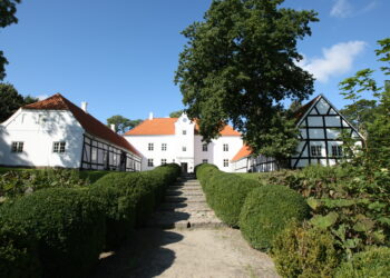 Fem historiske træer i Bratskovs park bliver til evighedstræer