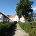 Fem historiske træer i Bratskovs park bliver til evighedstræer
